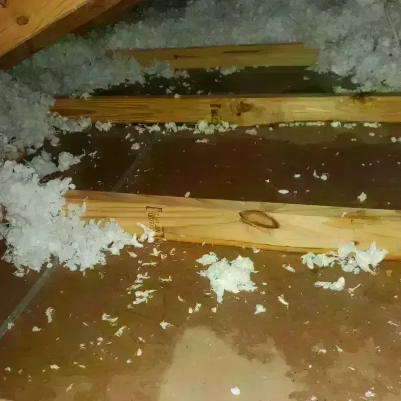 Attic Water Damage in Harrisburg, NE