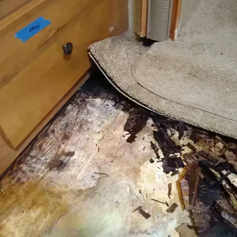 Best Wood Floor Water Damage Service in Harrisburg, NE